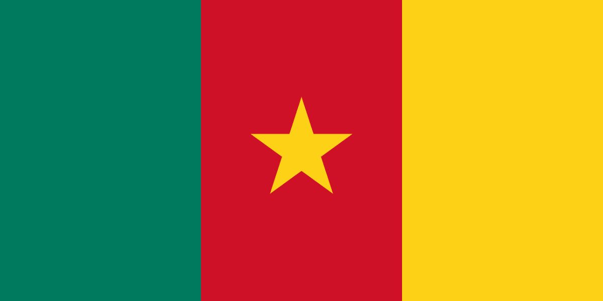 A Complete Guide to Obtaining an Indian Visa for Citizens of Cameroon and Angola