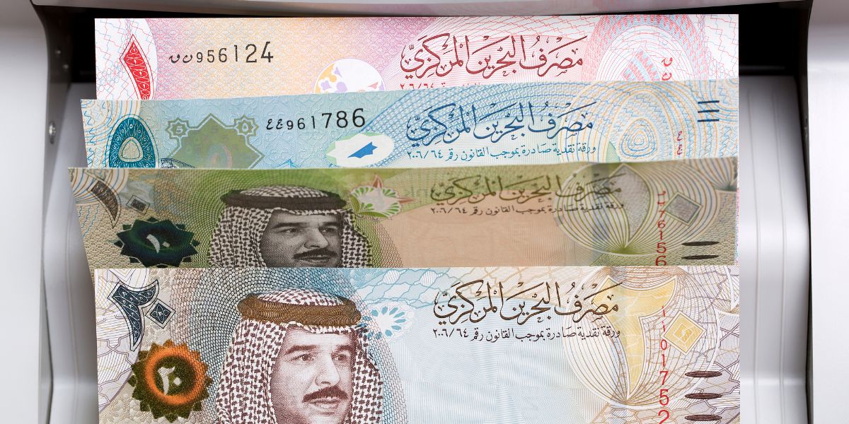 الدليل الشامل لاختيار ماكينة عد النقود المناسبة لنشاطك التجاري